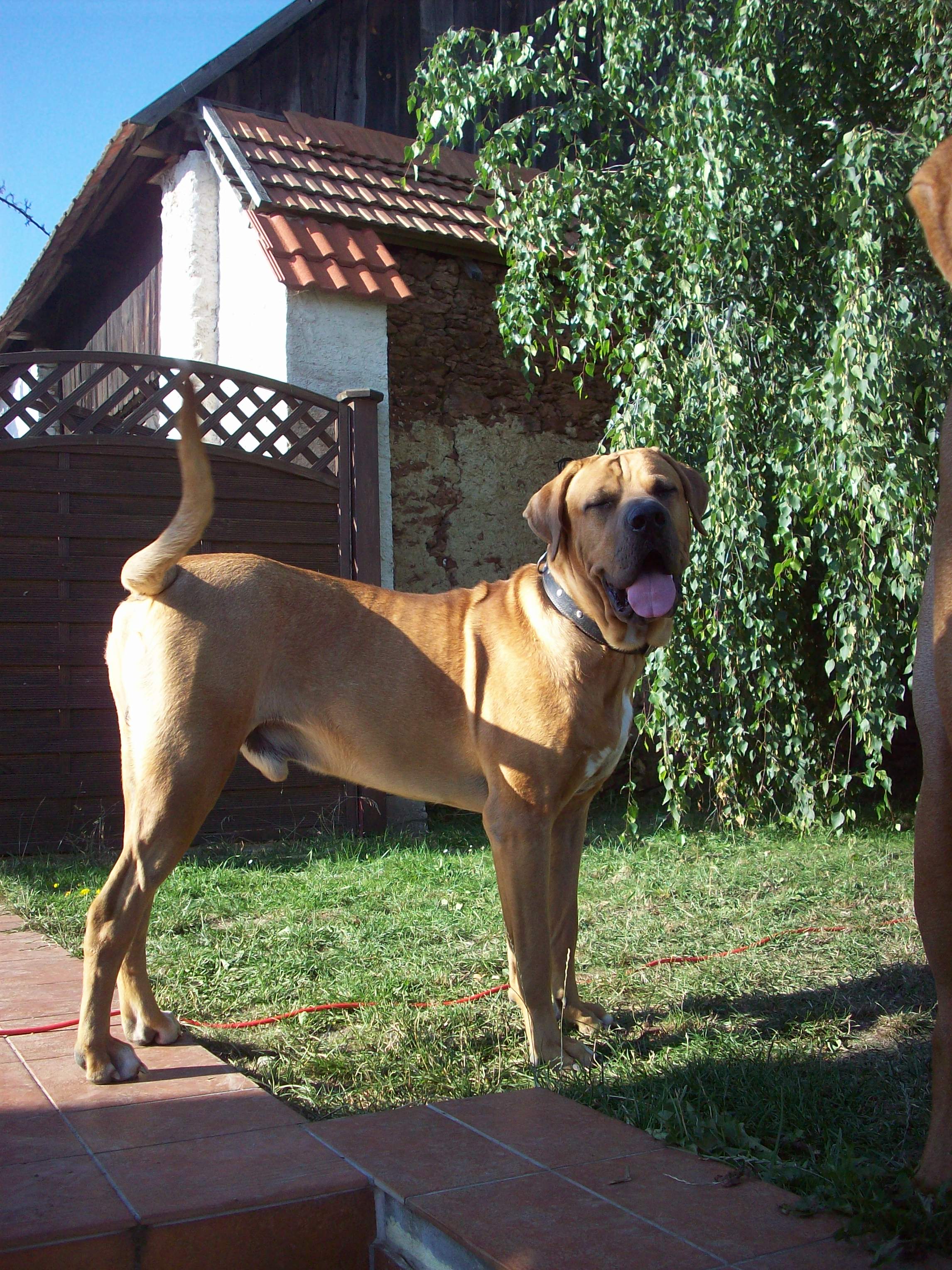 100_3496.jpg
