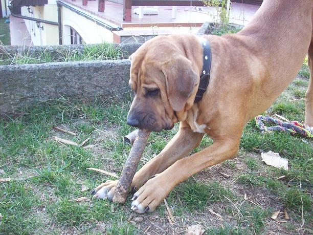 100_3878.jpg