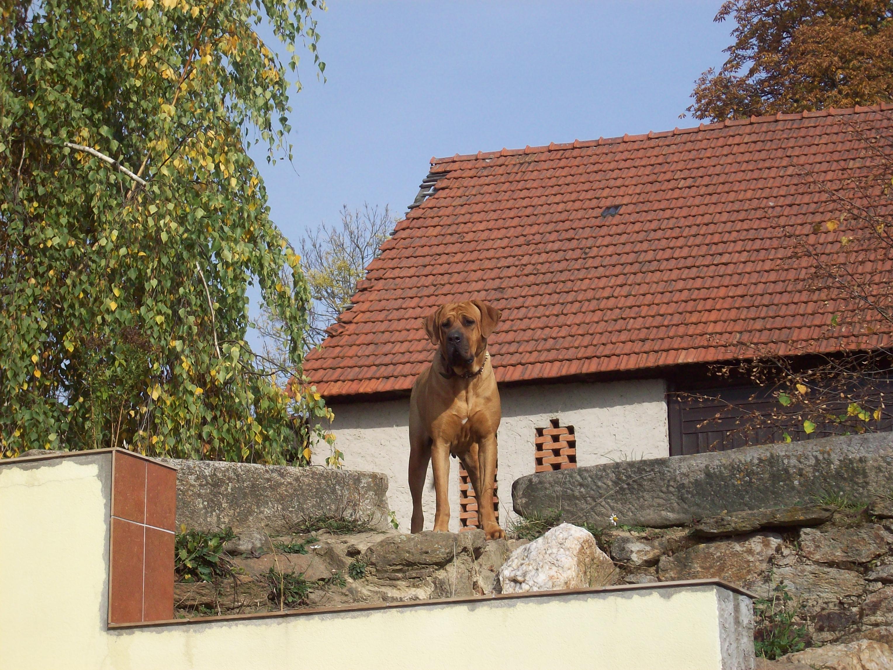 100_4830.JPG