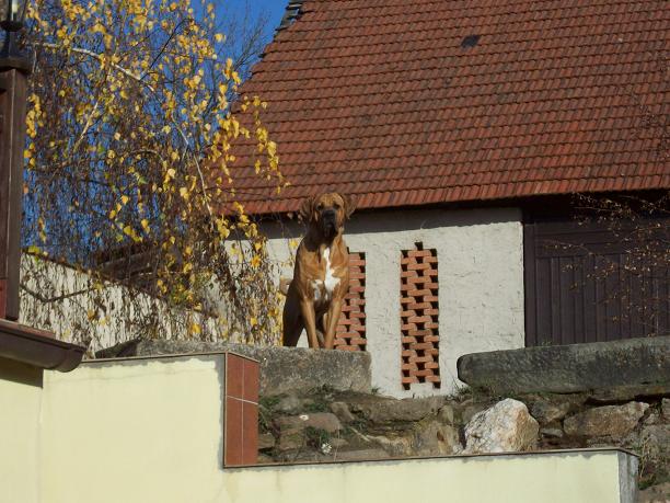 100_5122.JPG