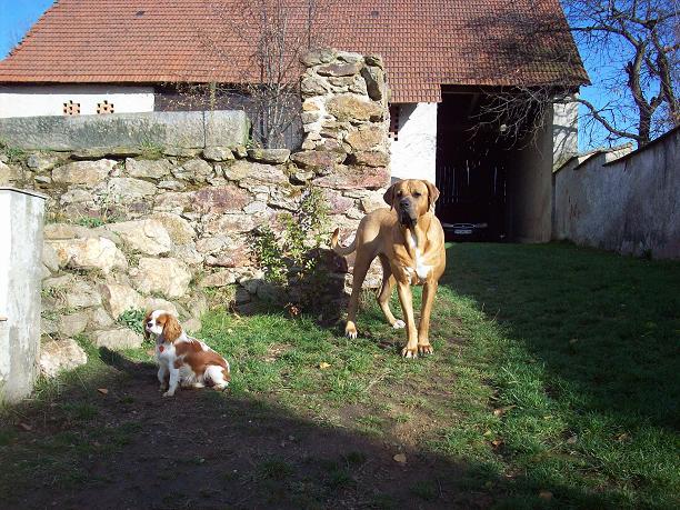 100_5135.JPG