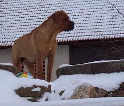 100_5557.JPG