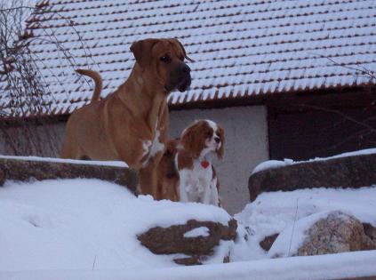 100_5599.JPG
