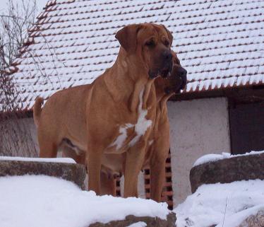 100_5601.JPG