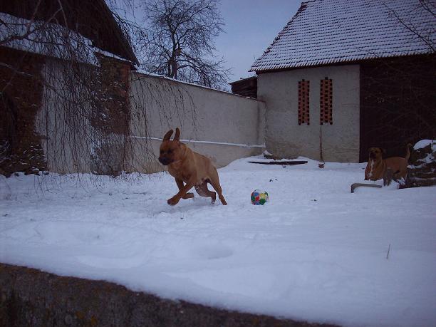 100_5609.JPG
