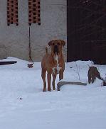 100_5610.JPG