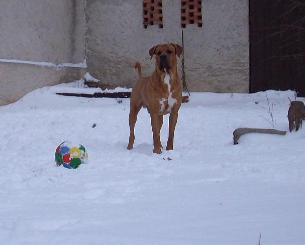100_5611.JPG