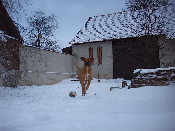 100_5612.JPG