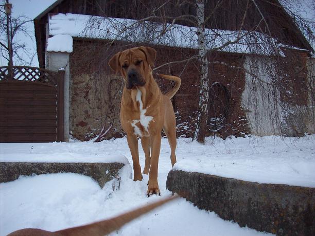 100_5617.JPG