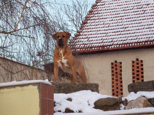 100_5653.JPG