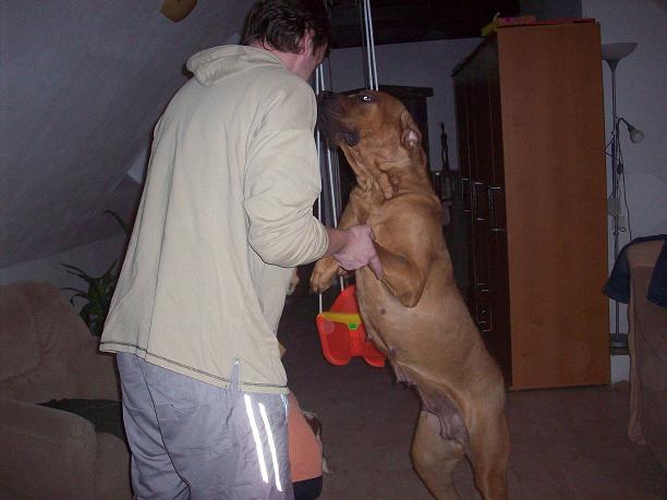 100_6190.JPG