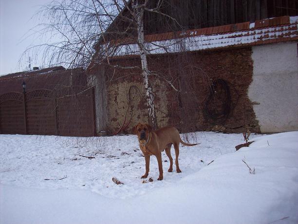 100_6589.JPG