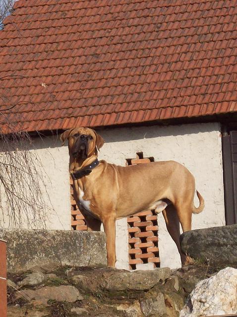 100_6876.JPG
