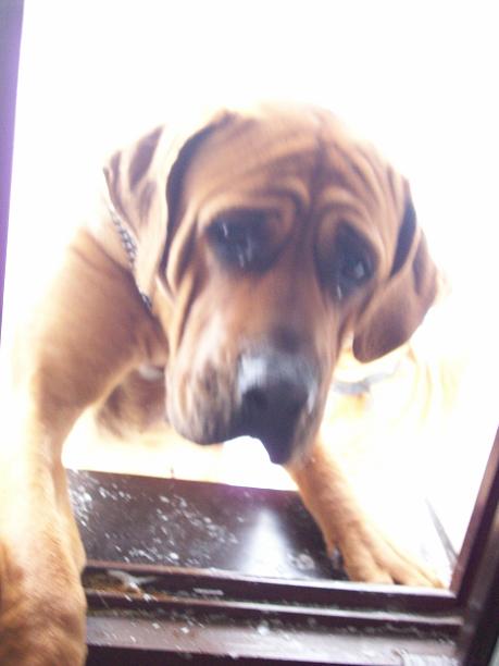 100_7145.JPG
