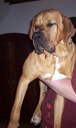 100_7048i.jpg