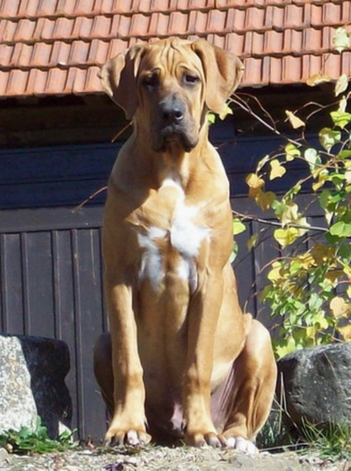 100_0478male.jpg