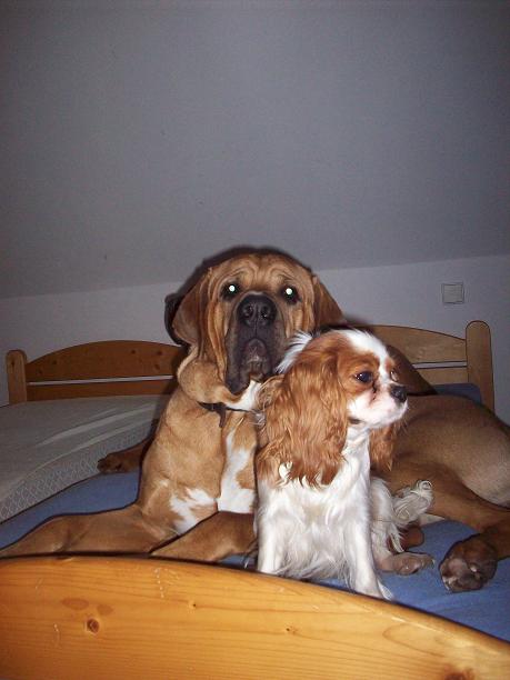 100_7055.JPG