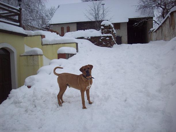 100_7291.JPG
