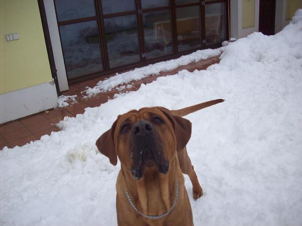 100_7308.JPG