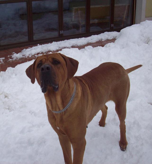100_7315.JPG