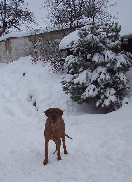 100_7339.JPG
