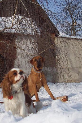 100_7560.JPG