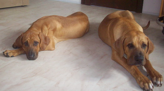 100_0660.jpg