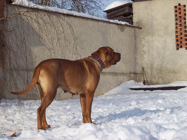 100_7688.JPG