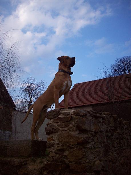 100_6005.JPG