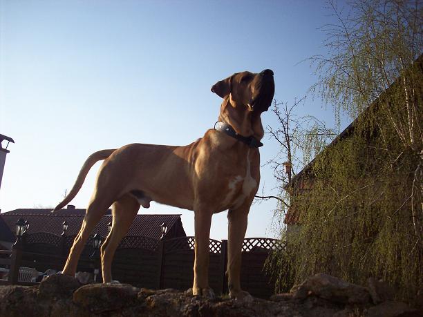 100_8654.JPG