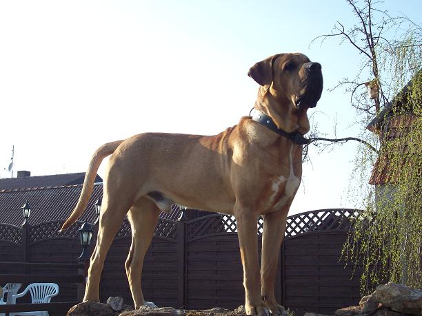 100_8649.JPG