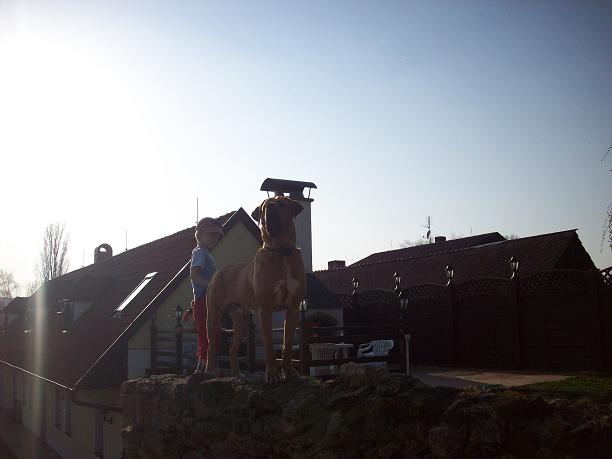 100_8644.JPG