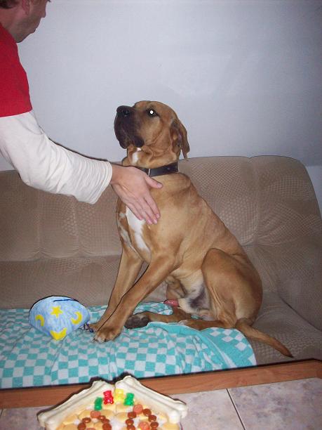 100_9221.JPG