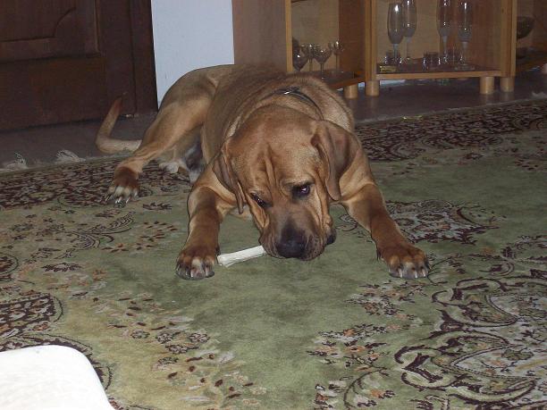 100_9244.JPG