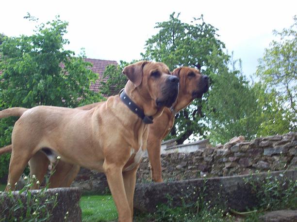100_9108.JPG