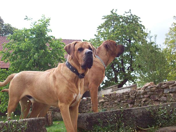 100_9109.JPG