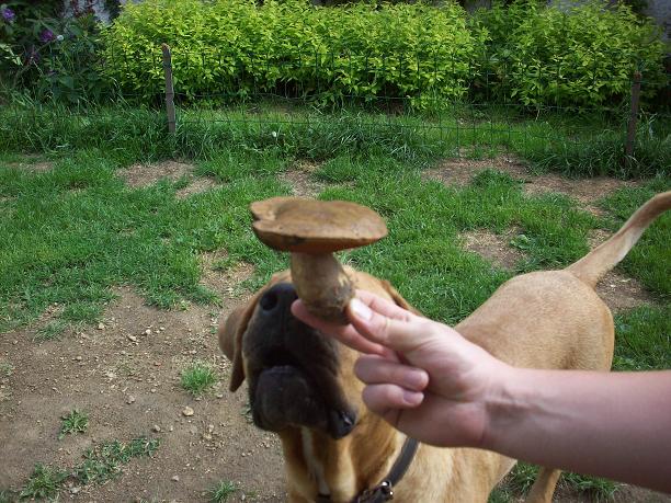 100_9376.JPG