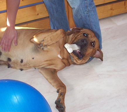 100_9424.JPG