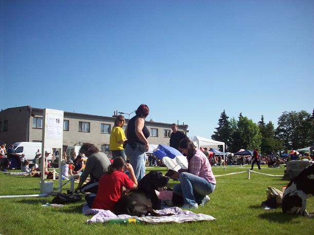 100_9586.JPG