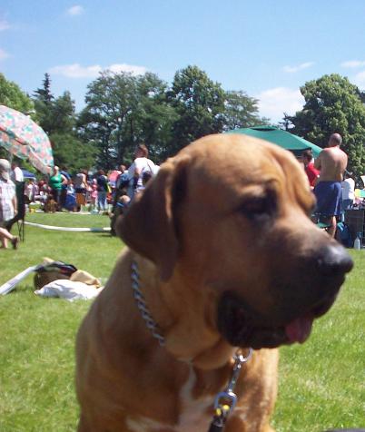 100_9610.JPG
